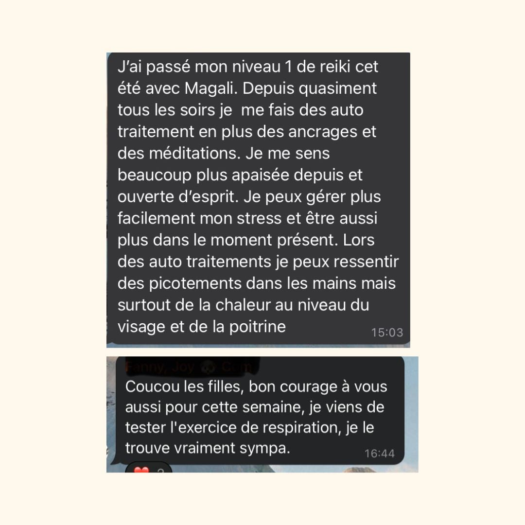 Réveille ton Âme, initie toi au Reiki niveau 1