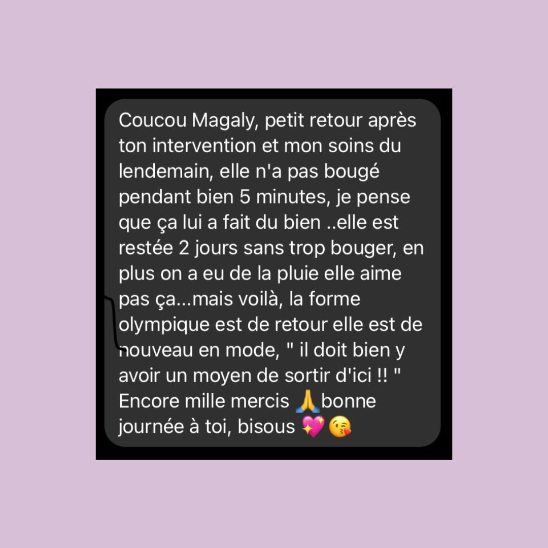 Communication animale + soin énergétique animalier