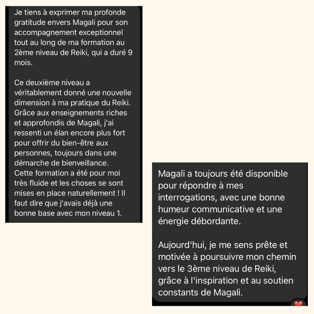 Réveille ton Âme, initie toi au Reiki niveau 1