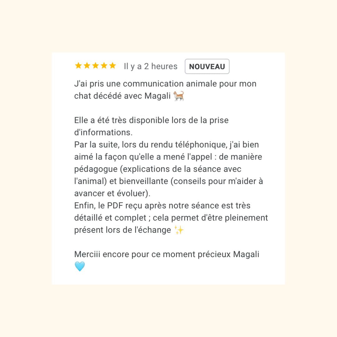 Reçois un message de ton animal parti vers les anges