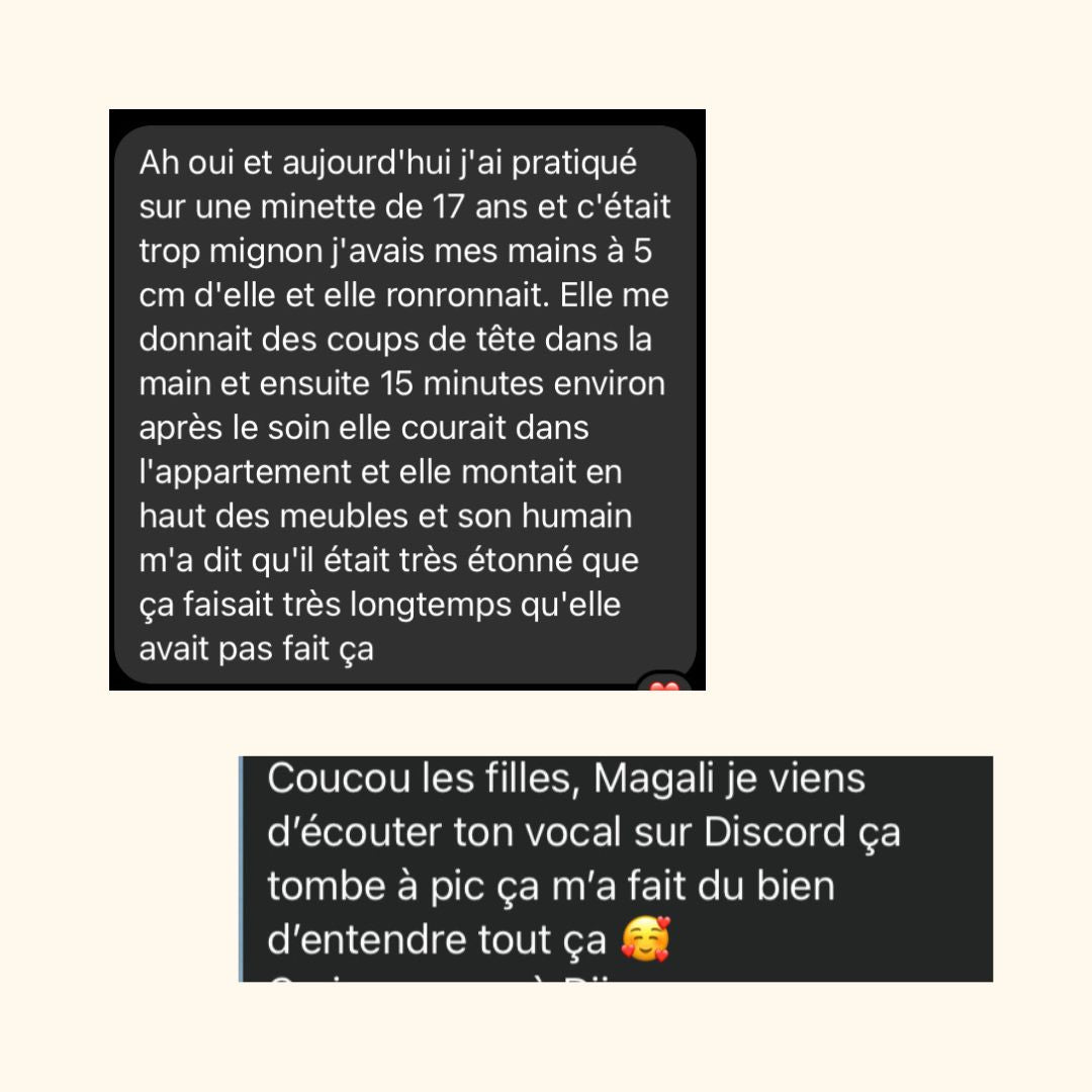 Formation : initie toi au Reiki niveau 1