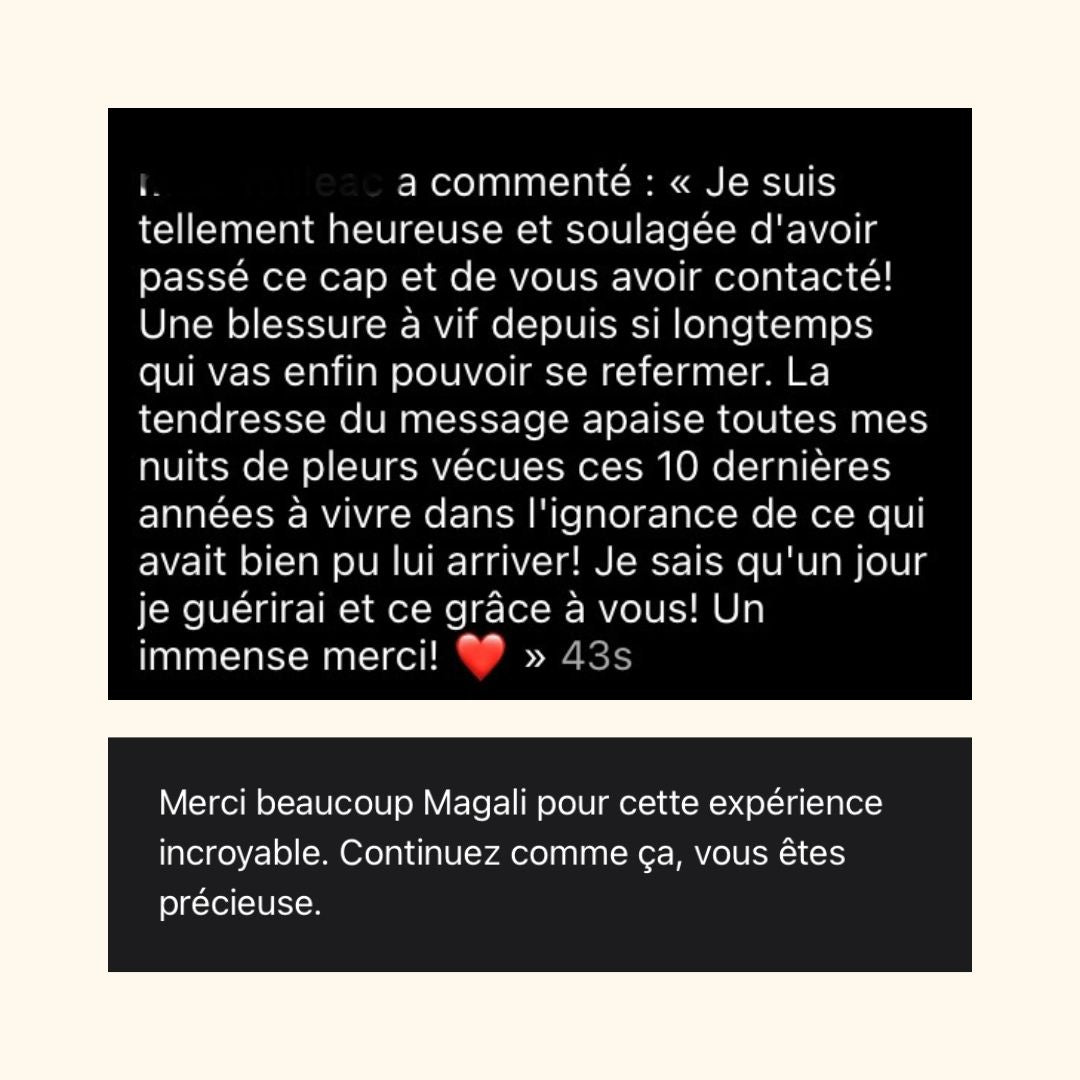 Reçois un message de ton animal parti vers les anges