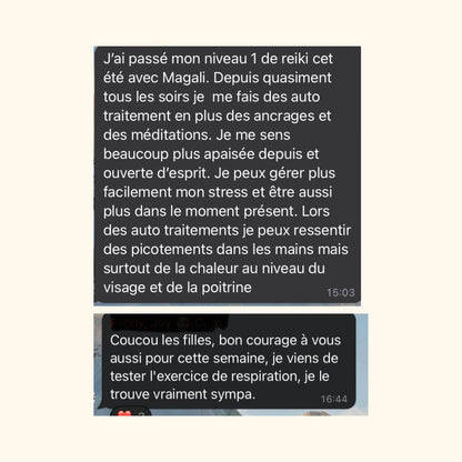 Réveille ton Âme, initie toi au Reiki niveau 1