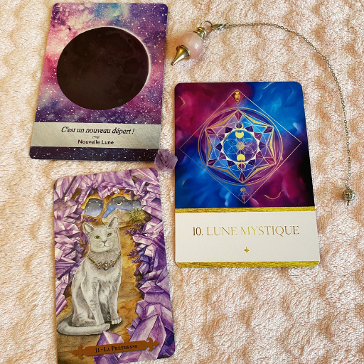 Les capacités que ton âme est venu développer, format écrit