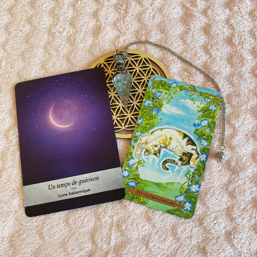 La mission de ton âme, format écrit