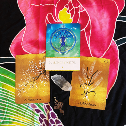 Guidance & coaching en visio