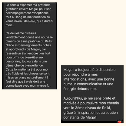 Réveille ton Âme, initie toi au Reiki niveau 1