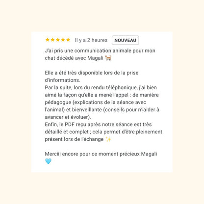 Reçois un message de ton animal parti vers les anges