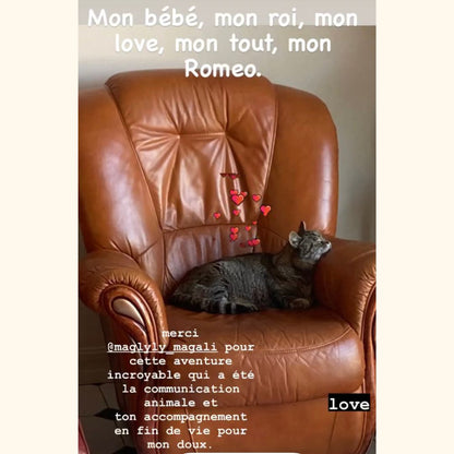Accompagnement en fin de vie