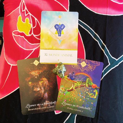 Rencontre avec ton Animal Totem, guidance et méditation en visio