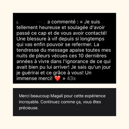 Reçois un message de ton animal parti vers les anges