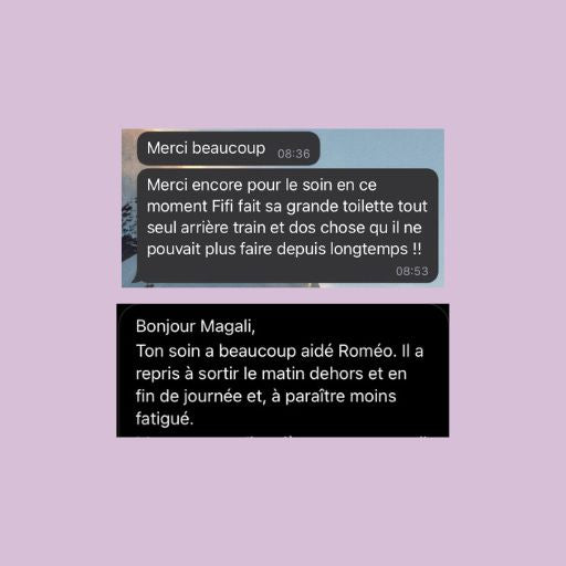 Soin énergétique animalier